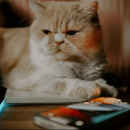 U aplikacijama u Apple App Store i Google Play pronađen novi malver SparkKitty koji krade slike i kriptovalute